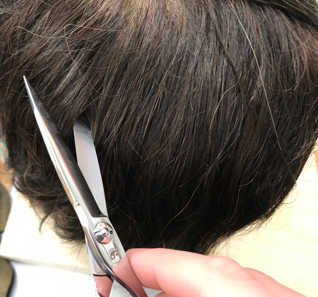 カット鋏 髪匠 Cutting Scissors KAMISHOW