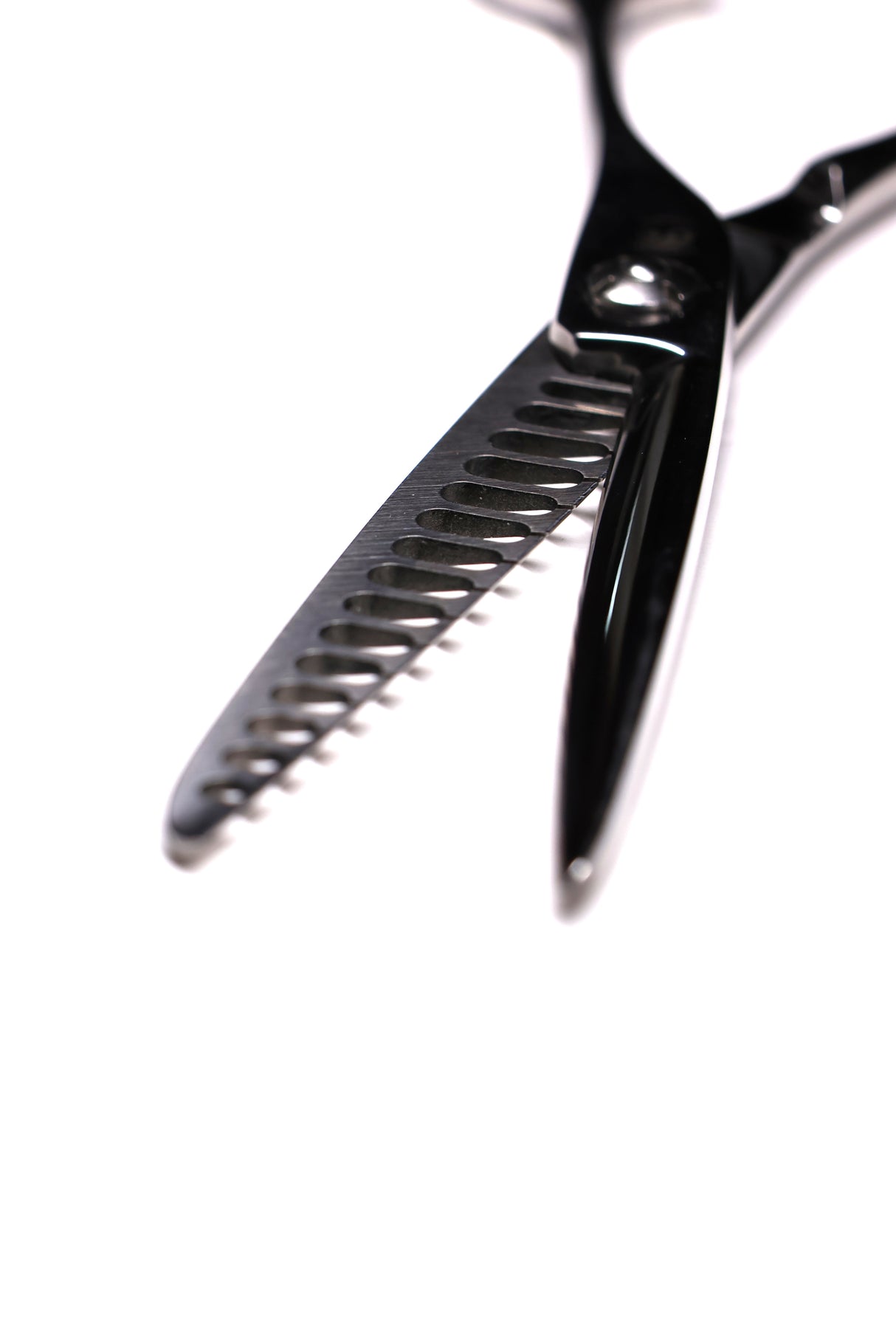 スキ鋏 S6014 サボテン