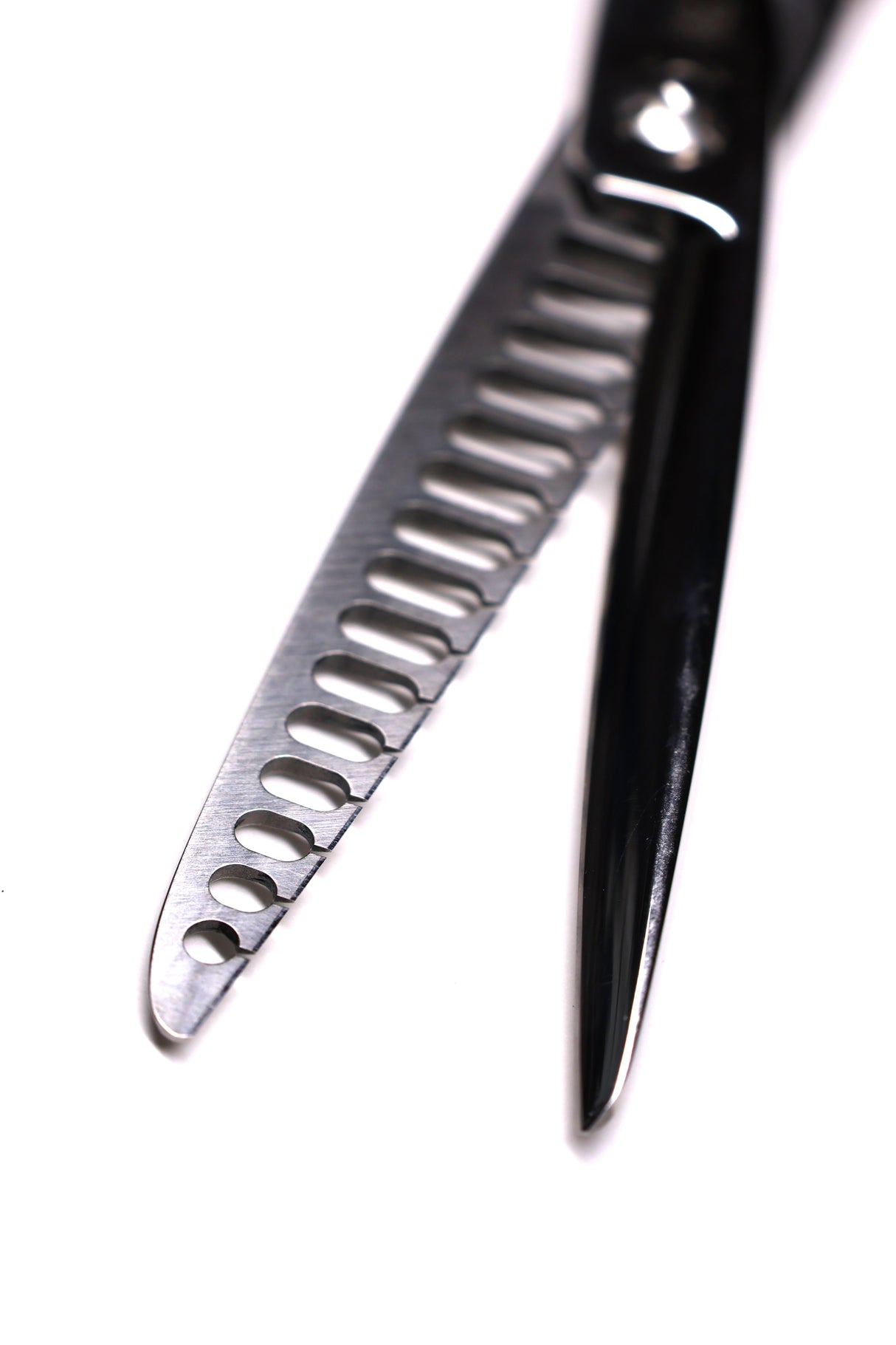 スキ鋏 S6014 サボテン